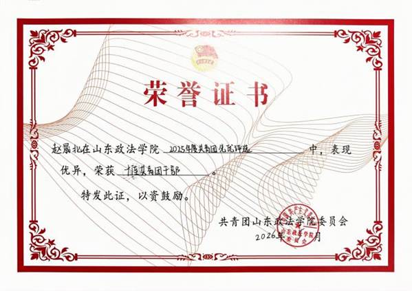 2025年度十佳共青团干部 荣誉证书