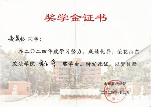2024年度山东政法学院综合一等奖学金