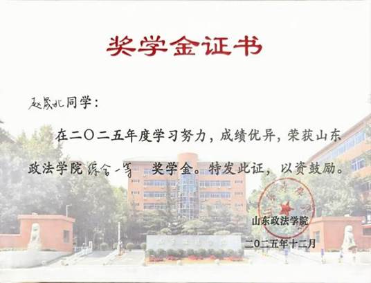 2025年综合一等奖学金